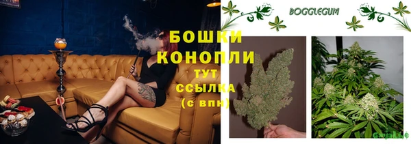 дживик Надым