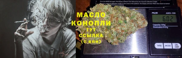 дживик Надым