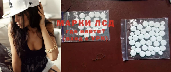 дживик Надым