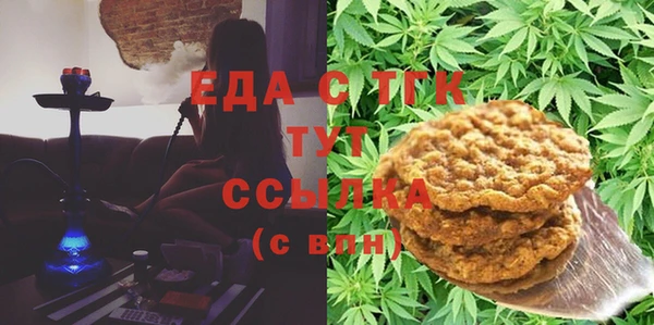дживик Надым