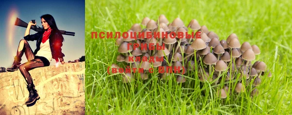 дживик Надым