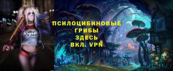 дживик Надым