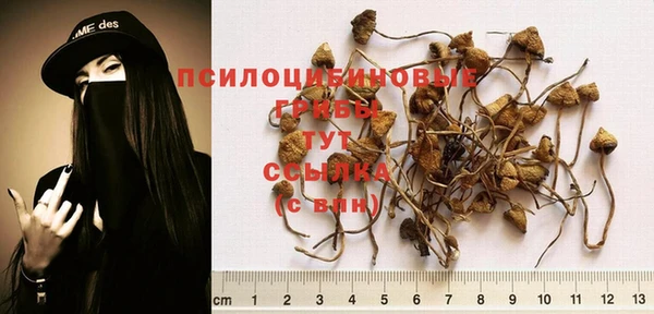 дживик Надым