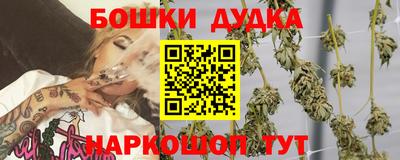 apvp Гагарин