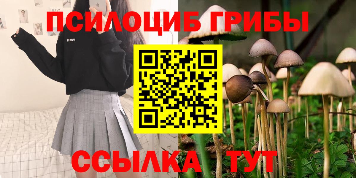 Псилоцибиновые грибы Psilocybine cubensis Тверь