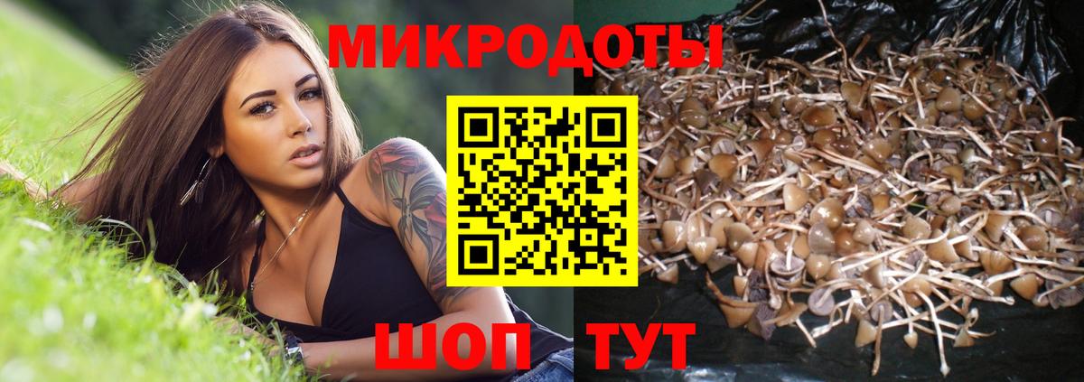 Галлюциногенные грибы MAGIC MUSHROOMS  Вход с VPN  Галлюциногенные грибы Psilocybe  Тверь 